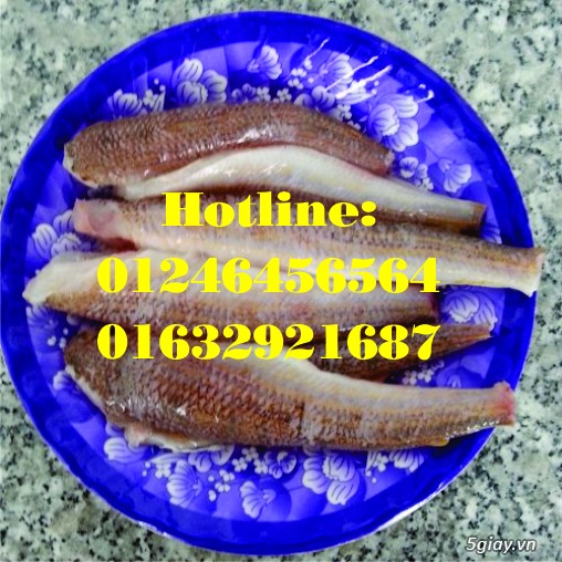 Cung cấp chả cá bán bánh mì (chả cá mối Vũng Tàu) và xe bánh mì chả cá - 3