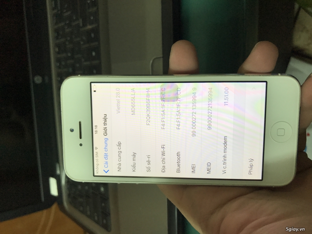 Bán iPhone 5 16g màu trắng - 3