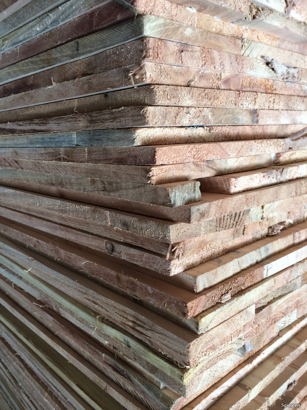 Xưởng gỗ An Hưng sản xuất ván gỗ ghép suốt xoan đào, thông, gỗ nhóm... - 3