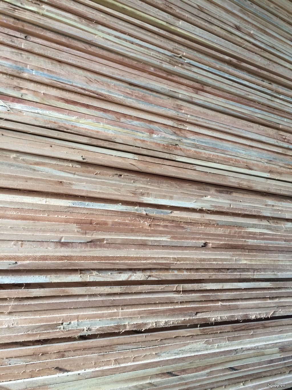 Xưởng gỗ An Hưng sản xuất ván gỗ ghép suốt xoan đào, thông, gỗ nhóm... - 4