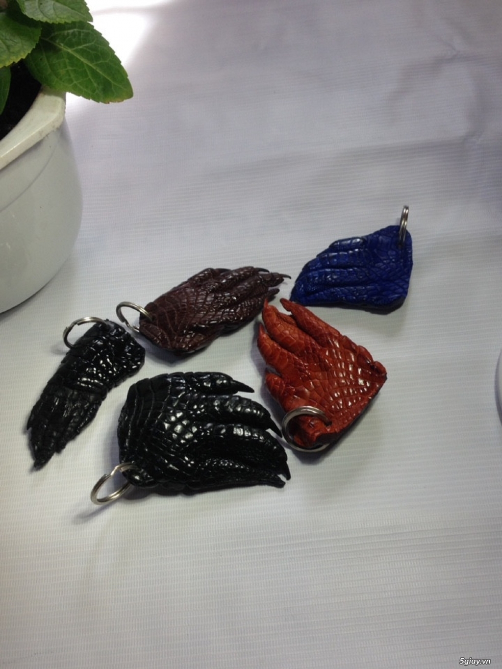 [Dép] Dép cá sấu 100%, lót da bò : chất lượng, giá rẻ.