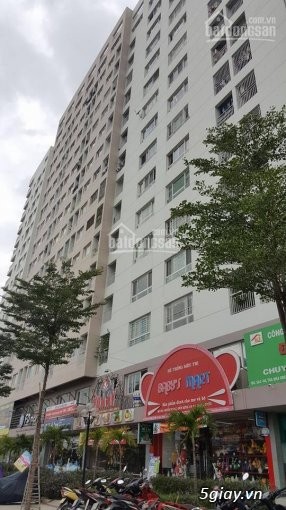 Căn hộ thương mại + căn hộ xã hội HOT nhất Bình Tân HOT HOT HOT