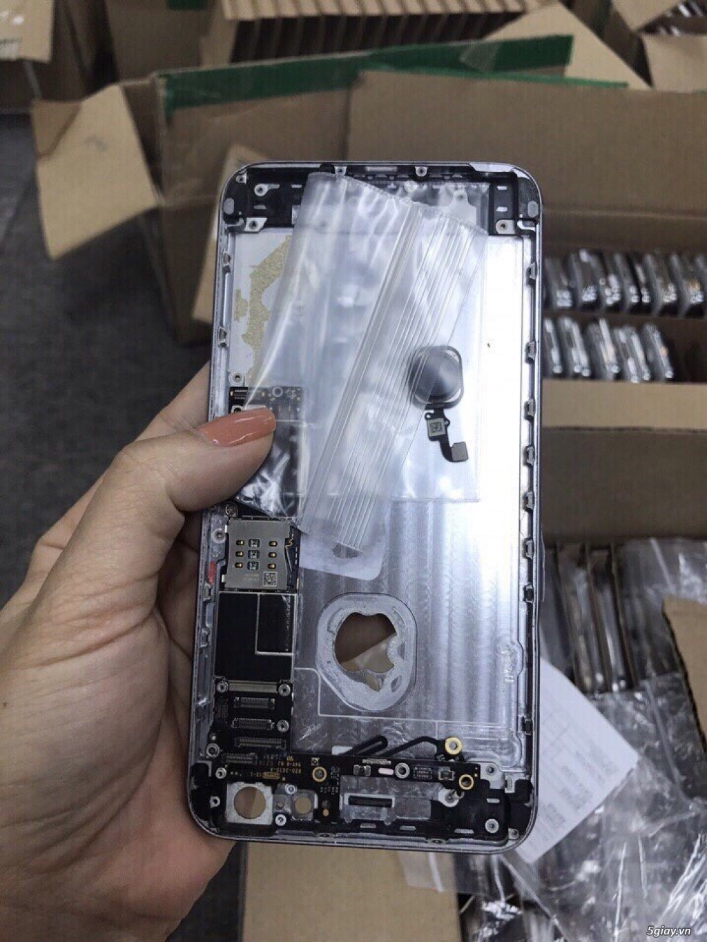 Main 6plus kvt zin all 3trieu