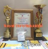 DẠ TÂM ĐAN - THUỐC NAM GIA TRUYỀN ĐẶC TRỊ BỆNH DẠ DÀY - 3