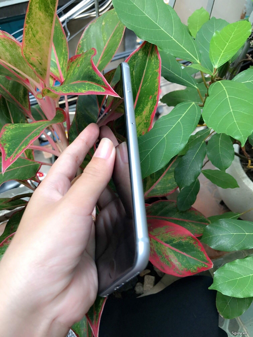 Iphone 6s Plus 64gb gray quốc tế like new bị cấn màn - 2