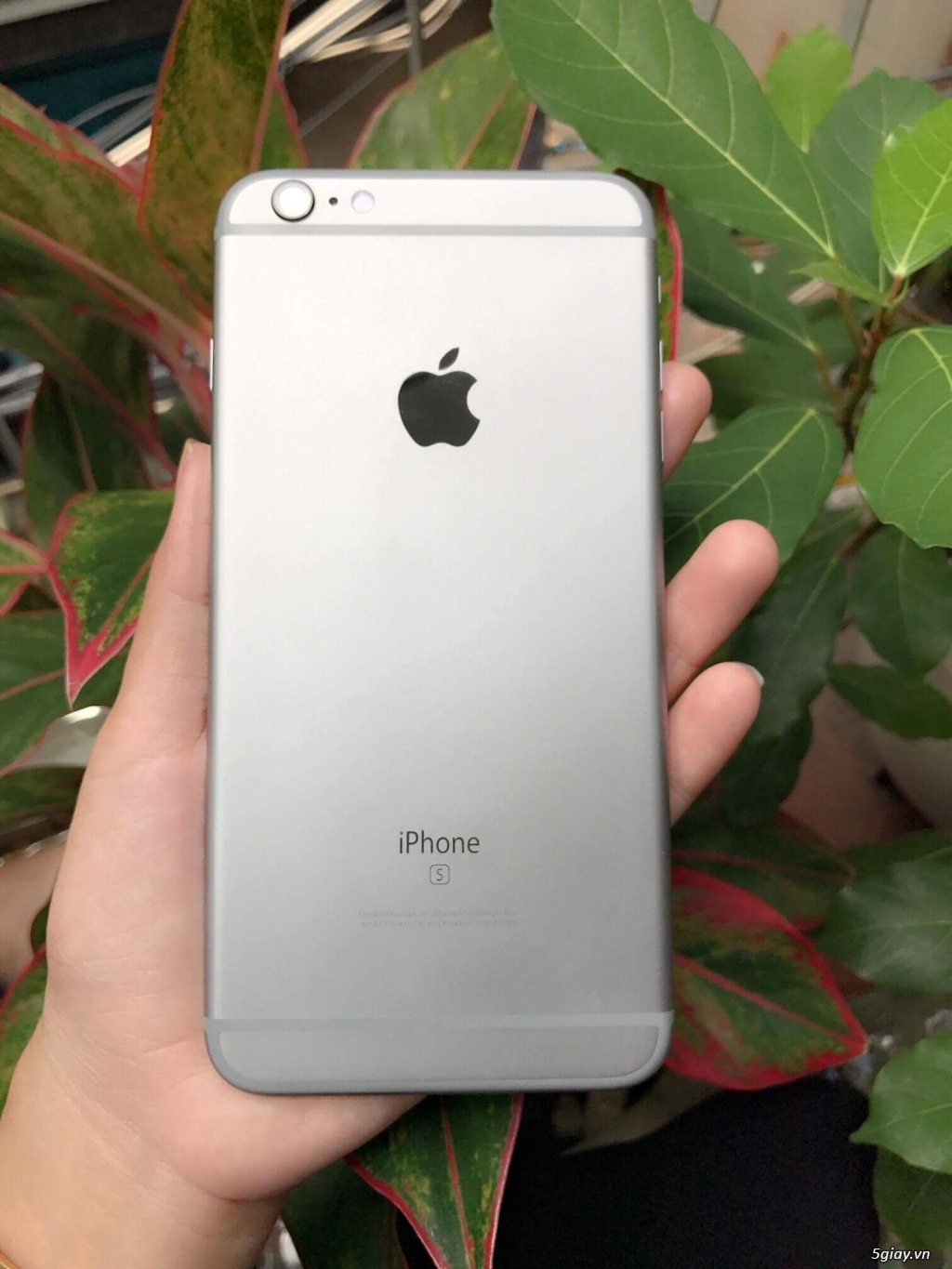 Iphone 6s Plus 64gb gray quốc tế like new bị cấn màn