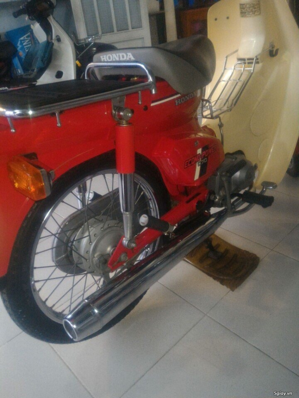 Cọp đêy... cọp đêy - 1