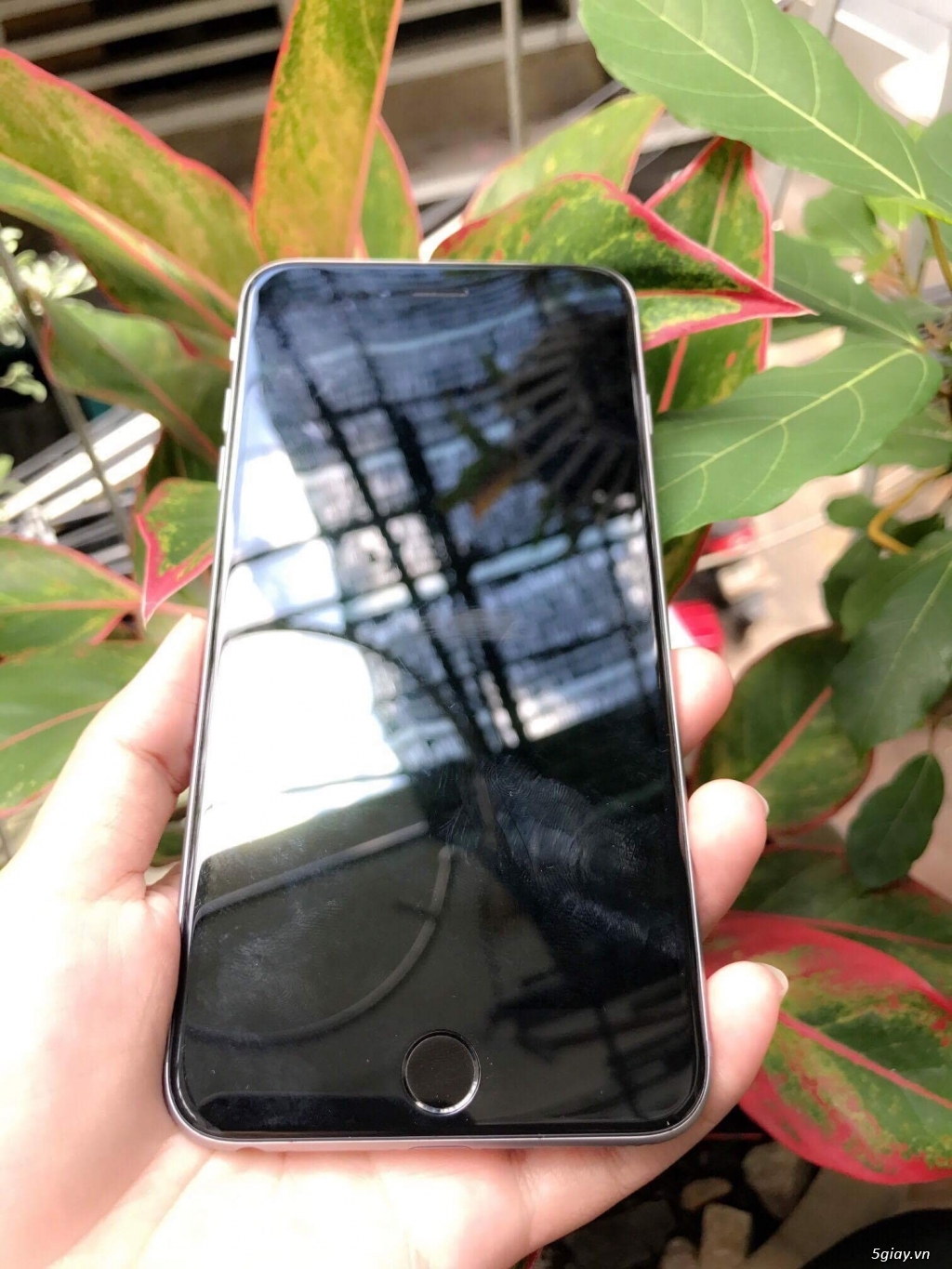 Iphone 6s Plus 64gb gray quốc tế like new bị cấn màn - 1