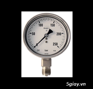 Đồng hồ áp suất thủy lực - 2