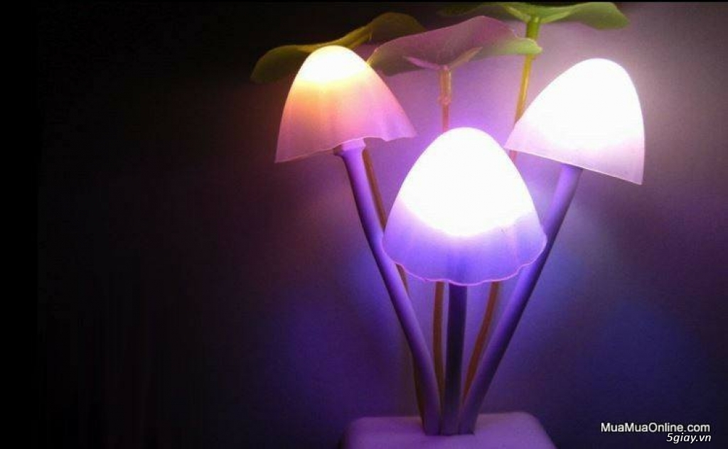 Đèn ngủ cảm ứng hình nấm. - 2