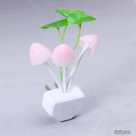 Đèn ngủ cảm ứng hình nấm.