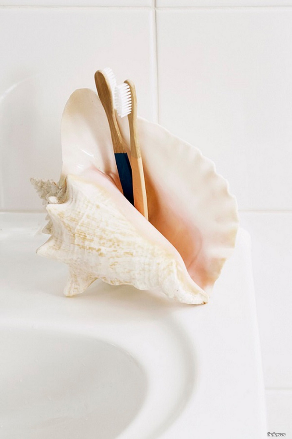 10 cách tái chế hoàn hảo để cất giữ bàn chải đánh răng - 6