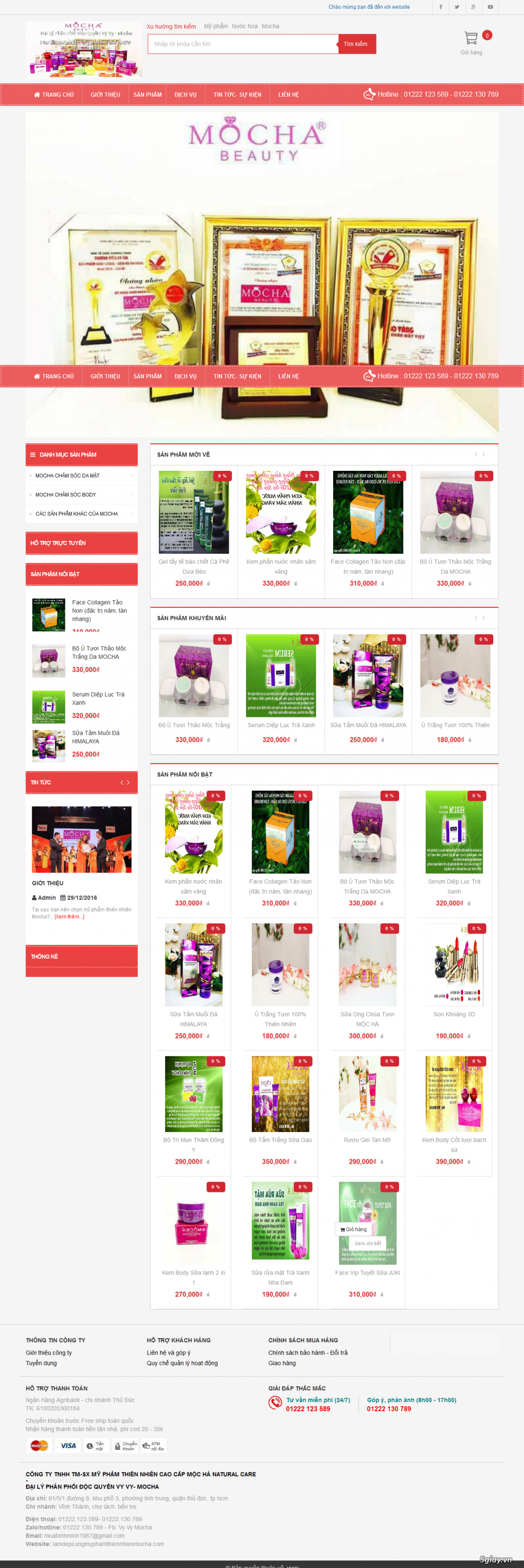 Thiết kế website - chuyên nghiệp - chuẩn seo - giá rẻ - 2