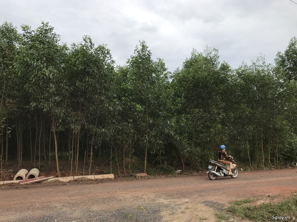 Đất nền Bắc Sơn Trảng Bom Đồng Nai - 4