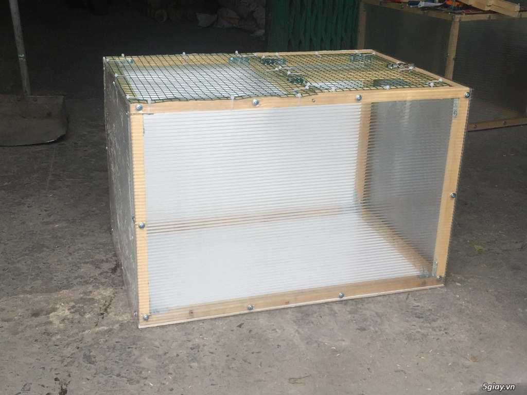 Hcm-q6 thùng úm gà con - 3
