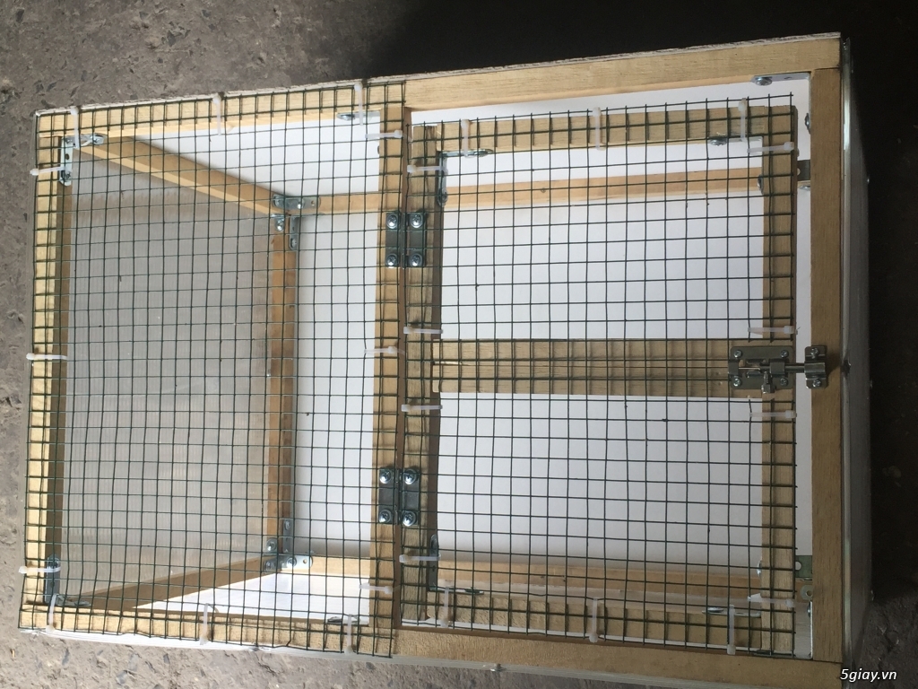 Hcm-q6 thùng úm gà con - 4