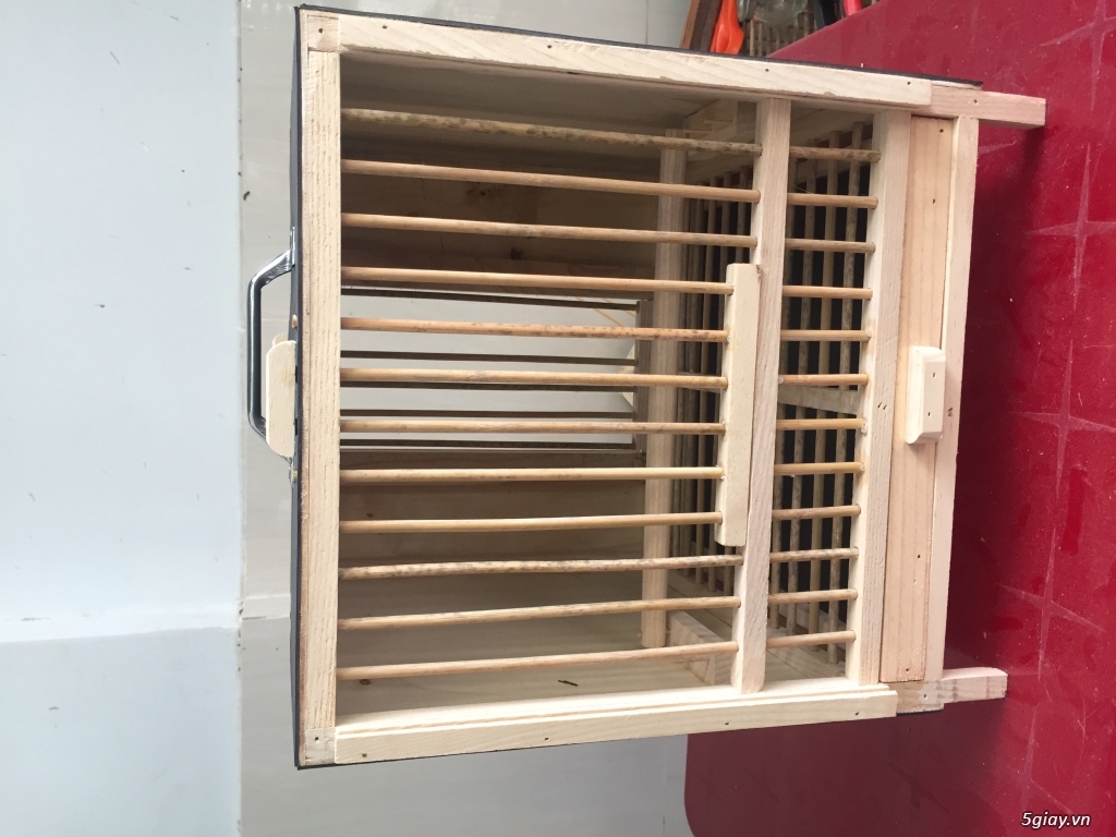 Hộc thuần ép bổi, khay đứng cho chim non - 3