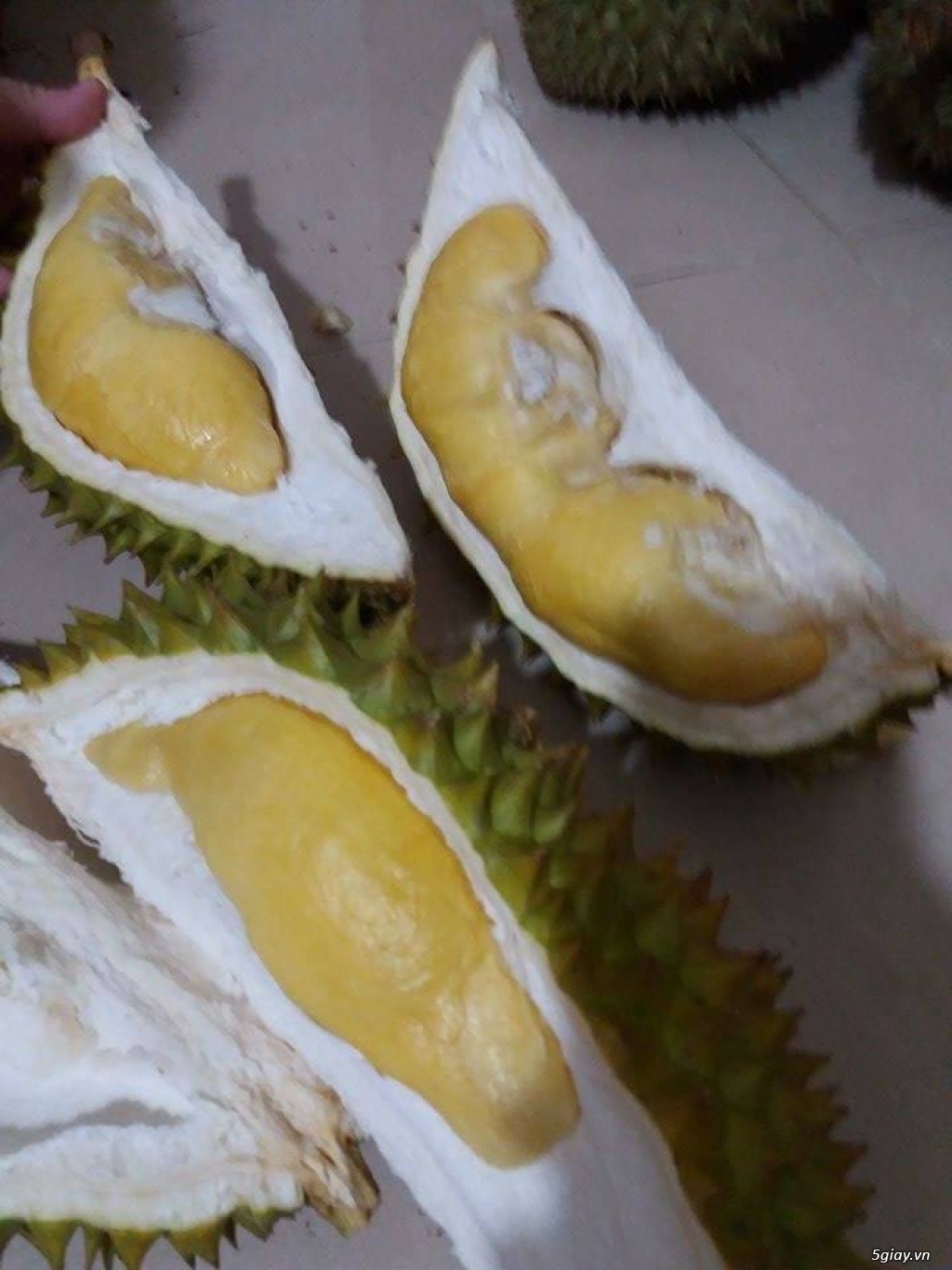 SẦU RIÊNG RI6 TIỀN GIANG