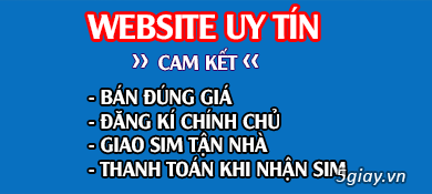 Thiết kế web bán sim giá rẻ