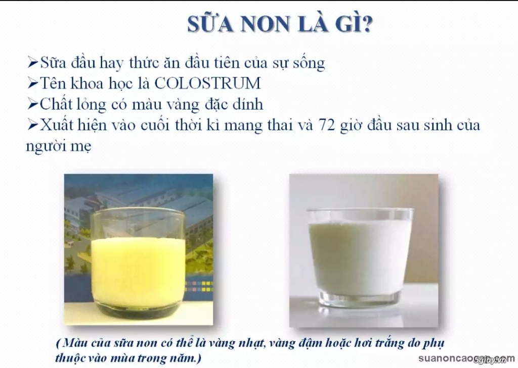Sữa non Alpha Lipid từ New Zealand - 1