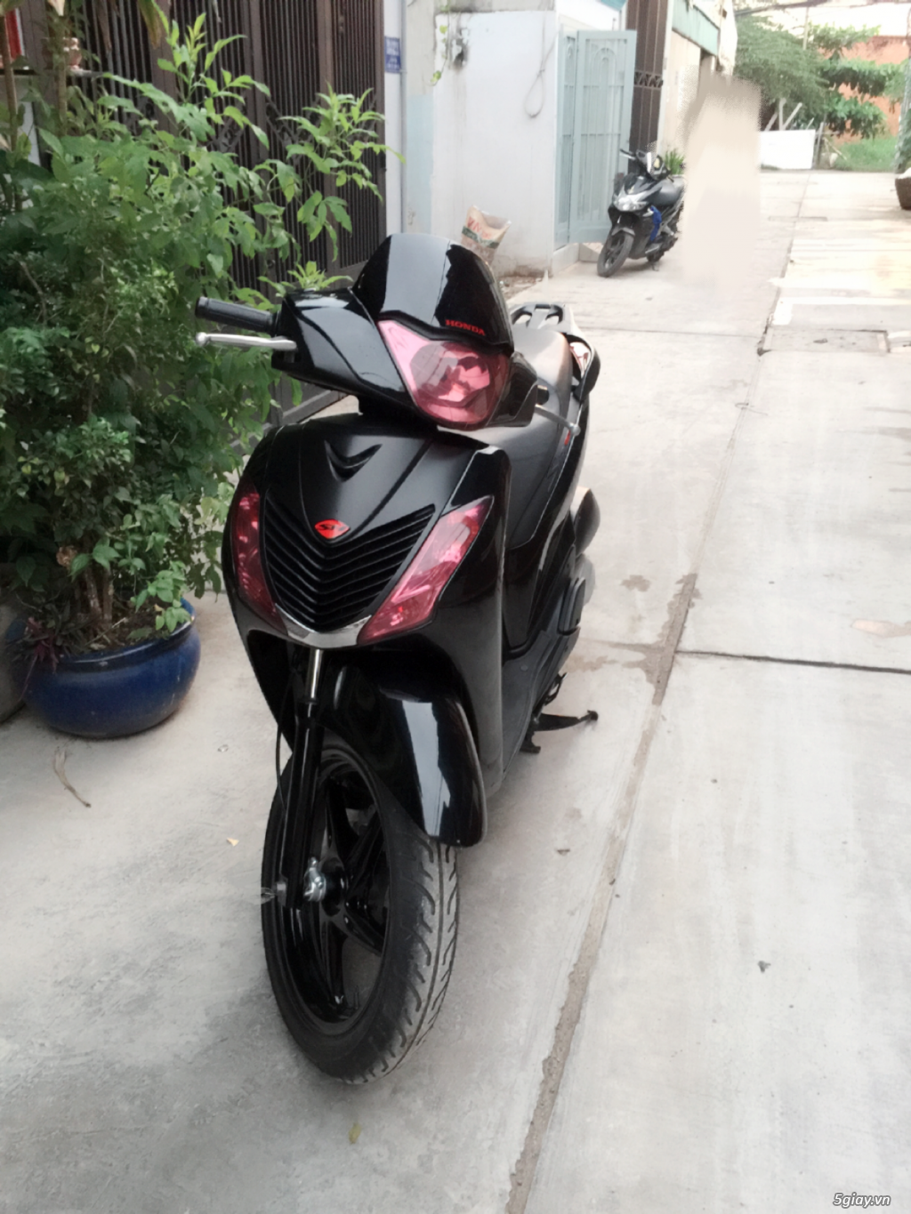 Sh 150i Xe Nhập Ý 2009 - 3