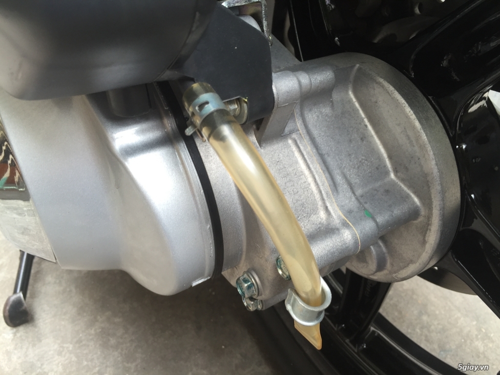 SH trắng sporty oder 3000 mấy cây . 1109 đầu - 16