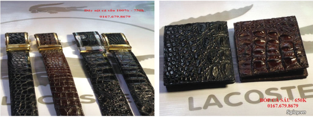 [Dép] Dép cá sấu 100%, lót da bò : chất lượng, giá rẻ. - 6