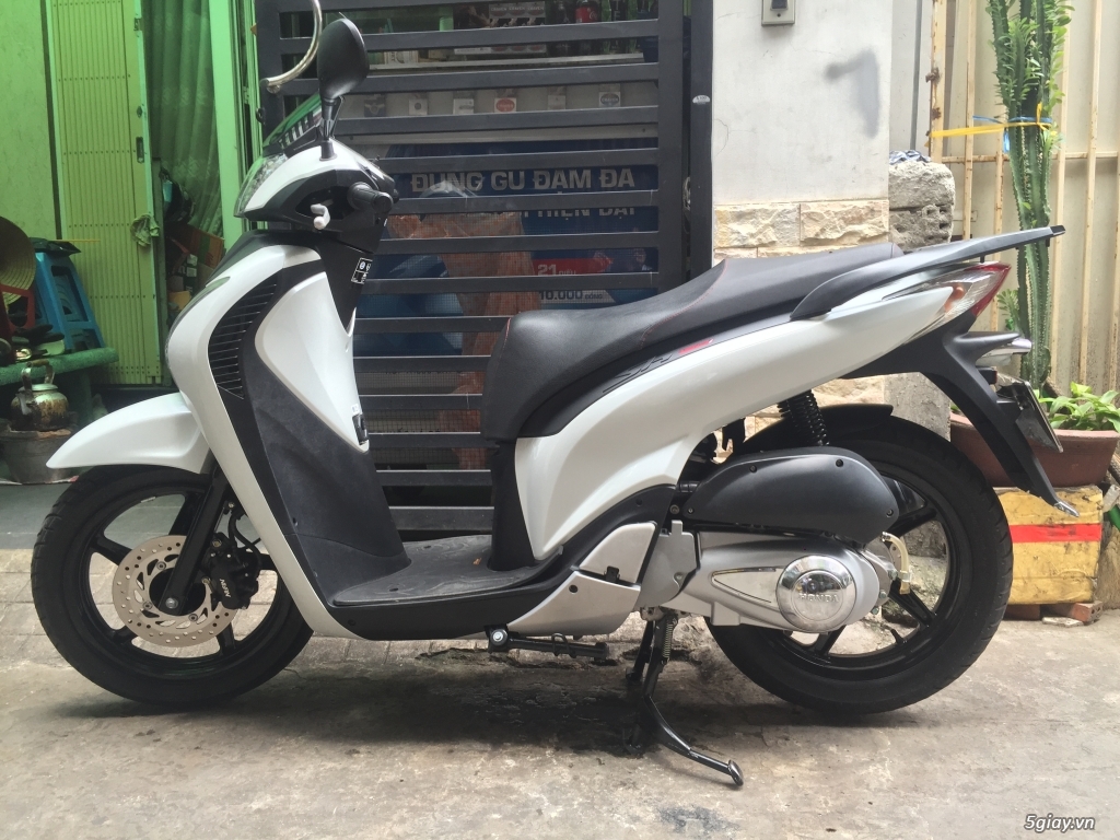 SH trắng sporty oder 3000 mấy cây . 1109 đầu - 8