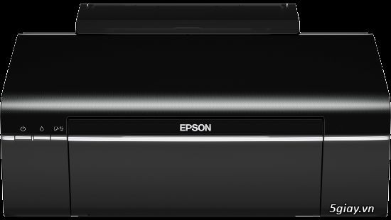 Máy in chính hãng