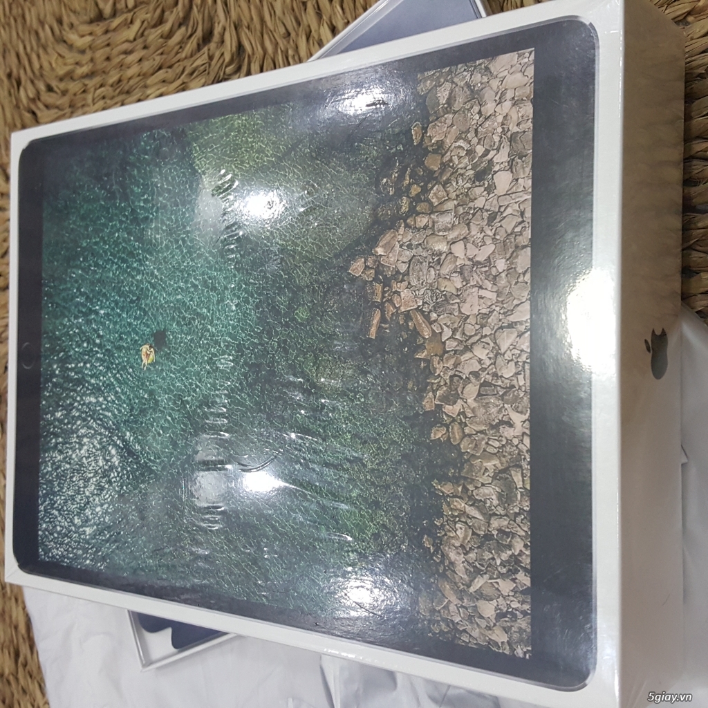 iPad Pro 10.5 wifi only 64GB 2017 space gray chưa unbox - 4