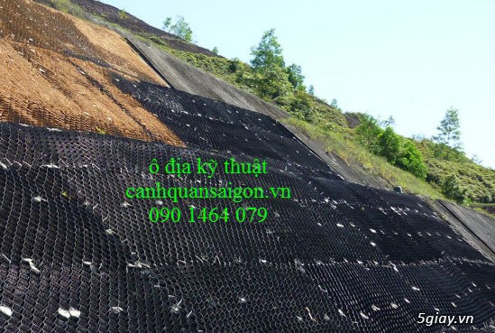 Ô địa kỹ thuật Geocell