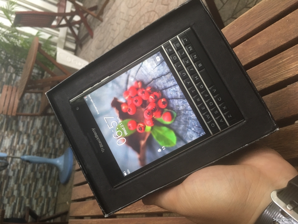 BAN PP QUOCTE NGUYENZIN FULL BOX - 11