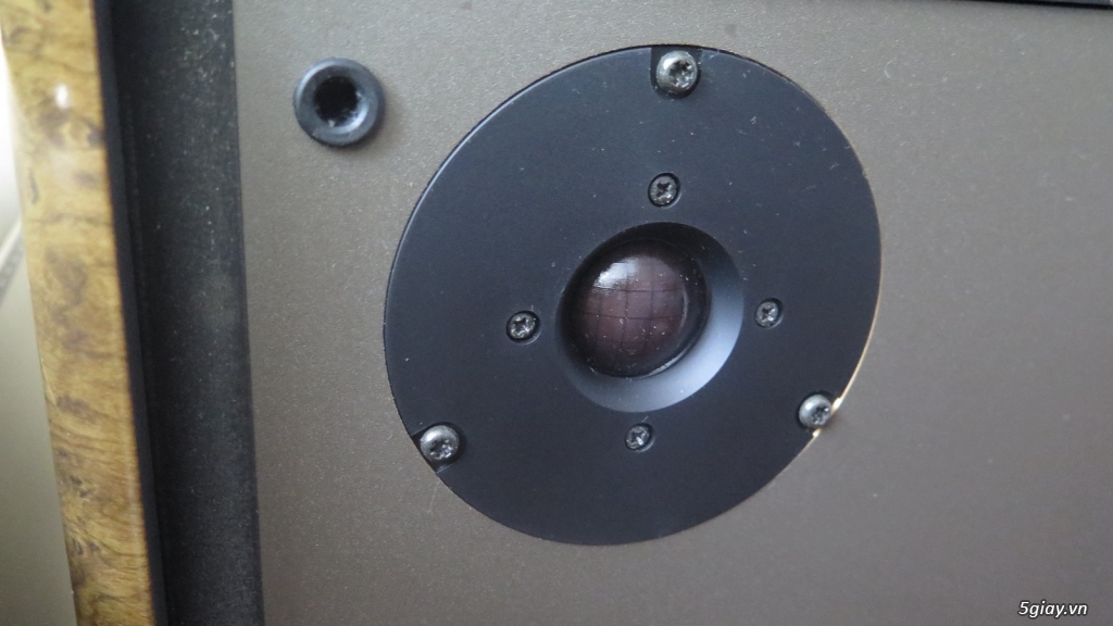 Dọn nhà bán Bose 363 (hàng độc hiếm), zin, 98% (hình)