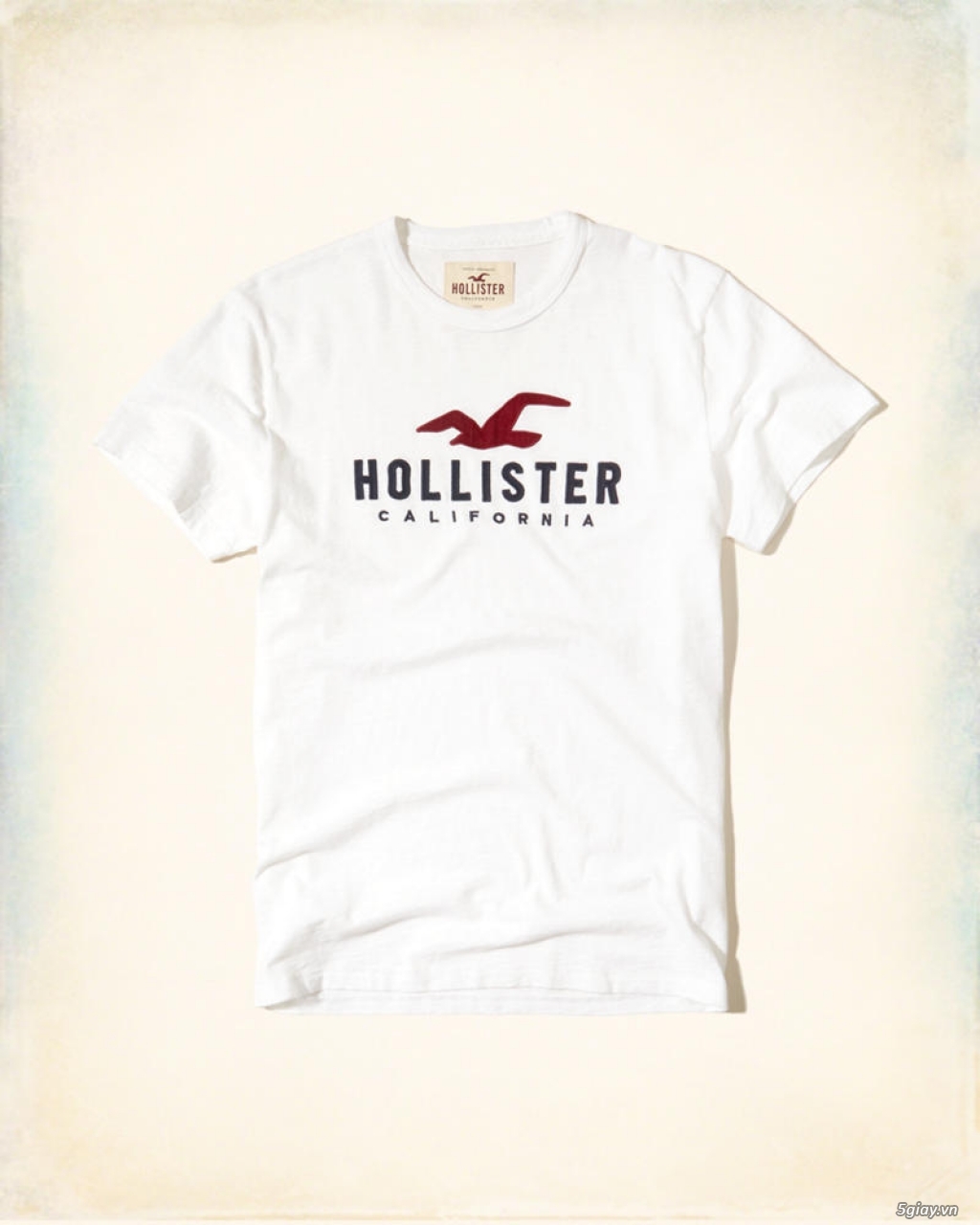 Hco Shop - Chuyên hàng xách tay Hollister & Abercrombie nhập US 100% - 16