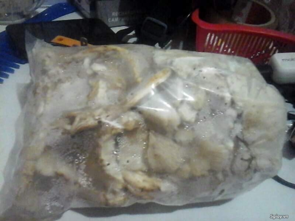 Nấm mối đầu mùa