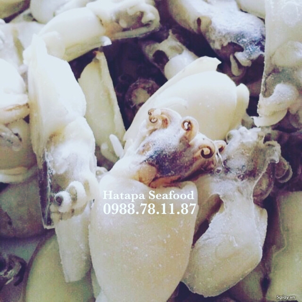 Cung cấp hải sản giá rẻ nhất Việt Nam, hải sản tươi & khô, đông lạnh nguyên chất từ vựa hải sản. - 8