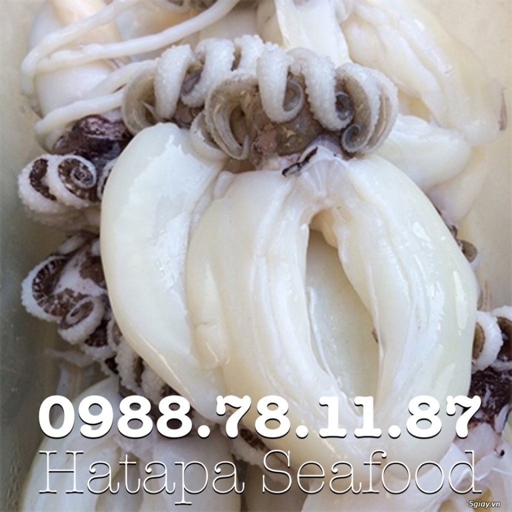 Cung cấp hải sản giá rẻ nhất Việt Nam, hải sản tươi & khô, đông lạnh nguyên chất từ vựa hải sản. - 9
