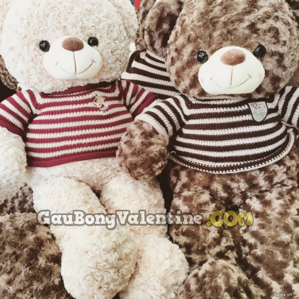 Gấu Bông Nhập Ngoại Cao Cấp - Gấu Teddy Choco - 3