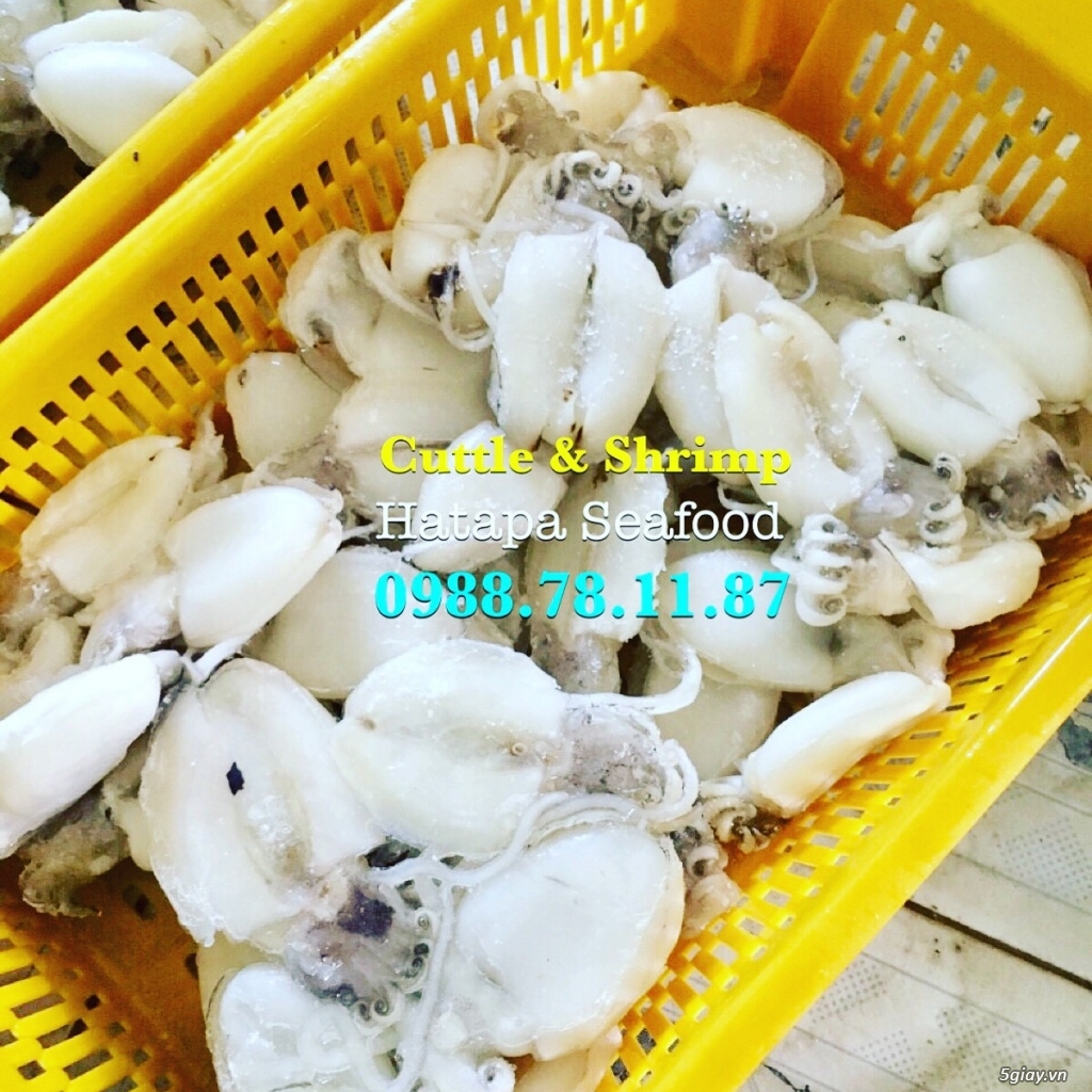 Cung cấp hải sản giá rẻ nhất Việt Nam, hải sản tươi & khô, đông lạnh nguyên chất từ vựa hải sản. - 16