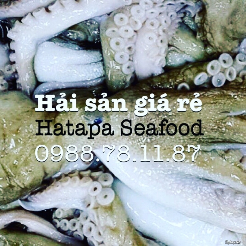Cung cấp hải sản giá rẻ nhất Việt Nam, hải sản tươi & khô, đông lạnh nguyên chất từ vựa hải sản. - 1