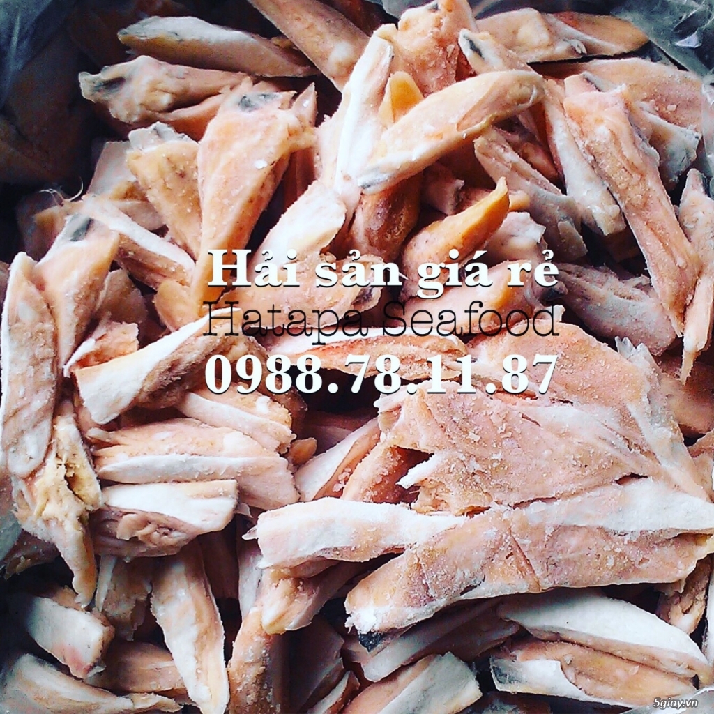 Cung cấp hải sản giá rẻ nhất Việt Nam, hải sản tươi & khô, đông lạnh nguyên chất từ vựa hải sản. - 8