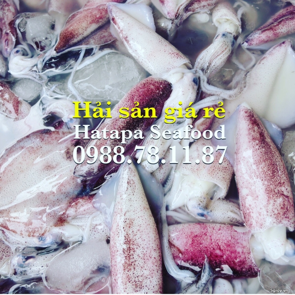 Cung cấp hải sản giá rẻ nhất Việt Nam, hải sản tươi & khô, đông lạnh nguyên chất từ vựa hải sản. - 21