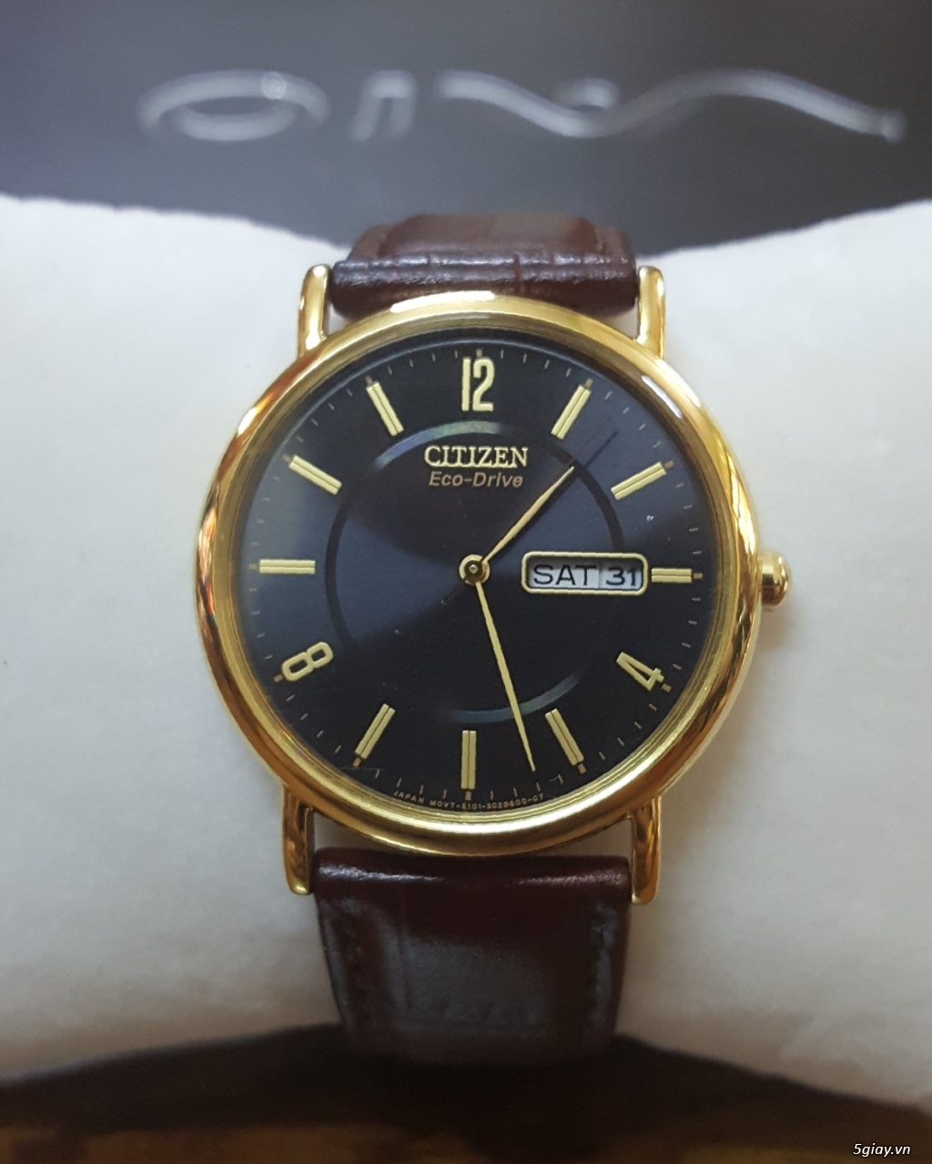 Các mẫu Citizen EcoDrive Chính Hãng - 6