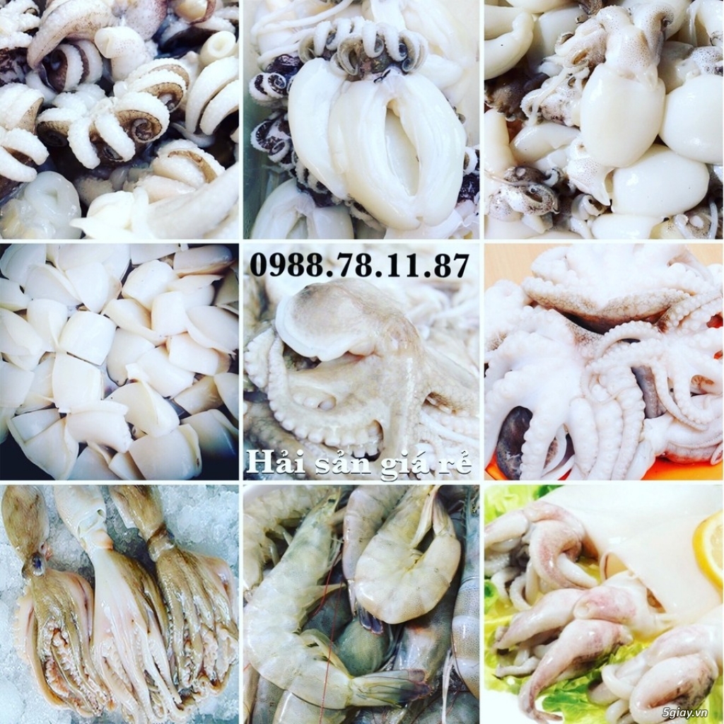 Cung cấp hải sản giá rẻ nhất Việt Nam, hải sản tươi & khô, đông lạnh nguyên chất từ vựa hải sản.