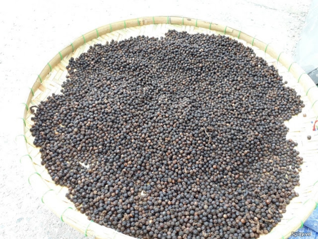Tiêu đen nguyên hạt 100% - 2