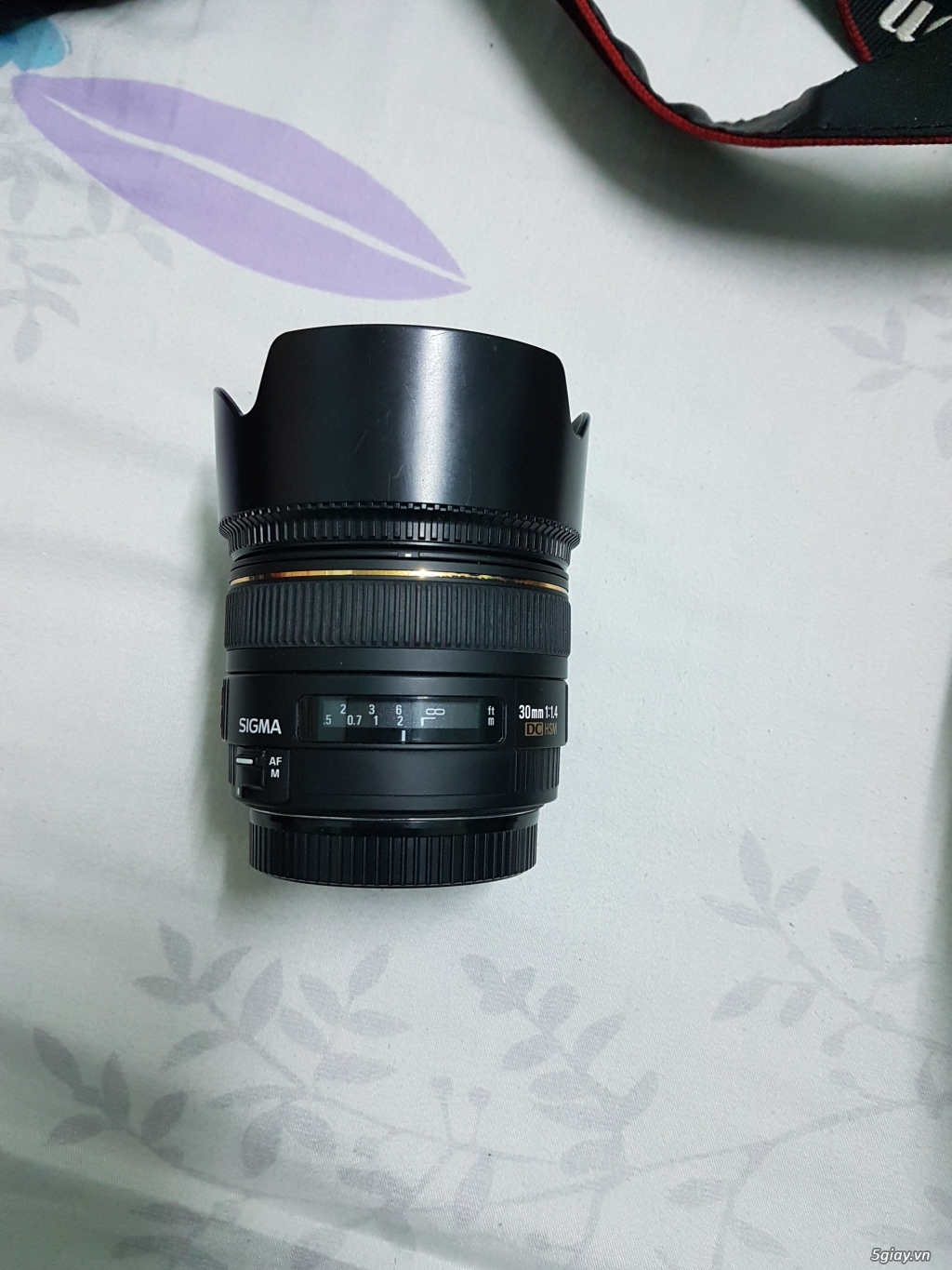 Canon 60D, Lens Sigma 30 f1.4, 55-250mm IS II, flash Nissin di622 II - 8