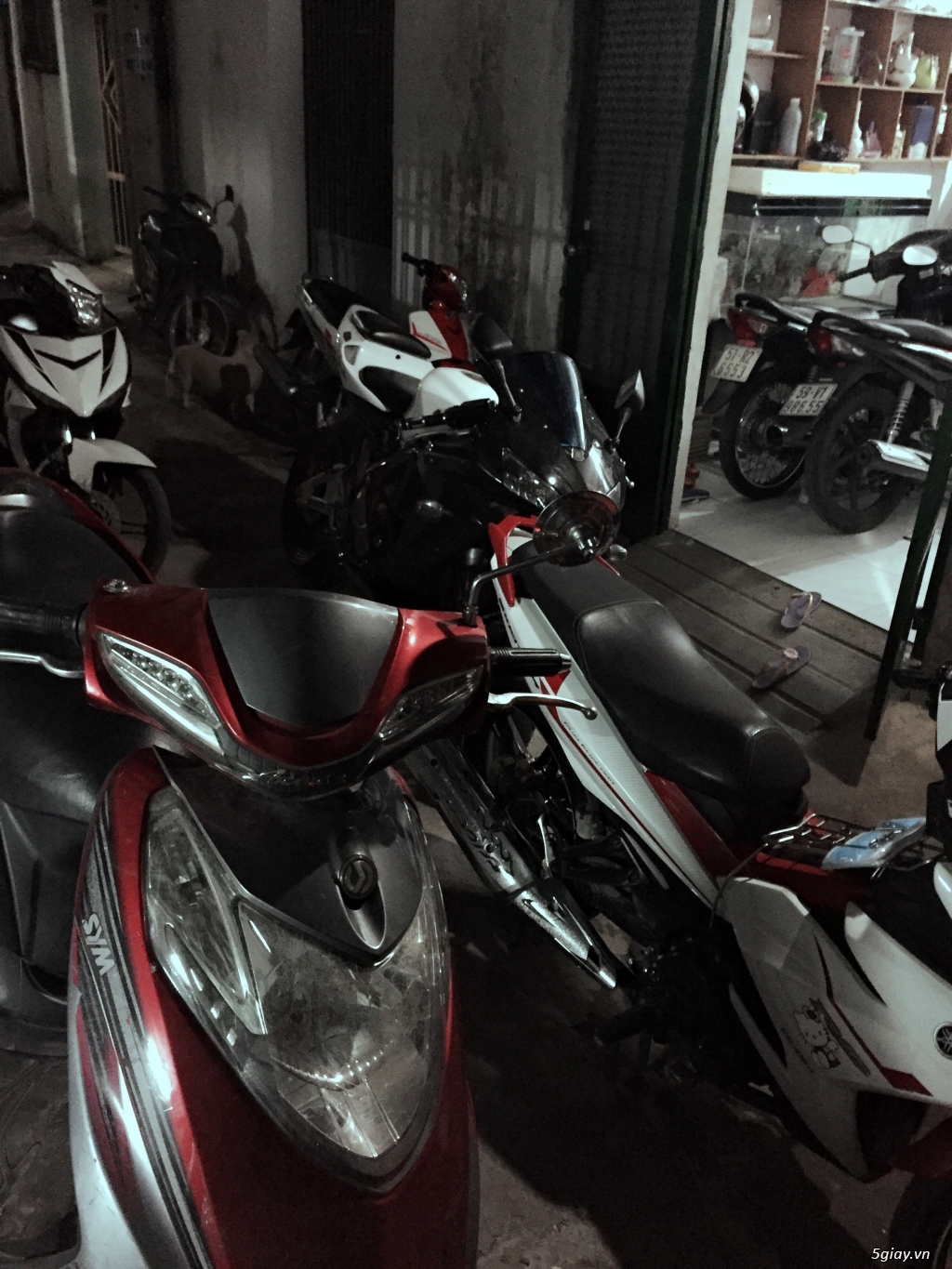 Cưới vợ nên bán honda cbr600rr fi - 4