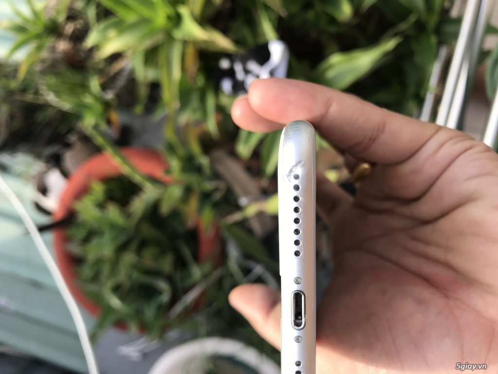 Bán 7plus Silver zin a-z - 5