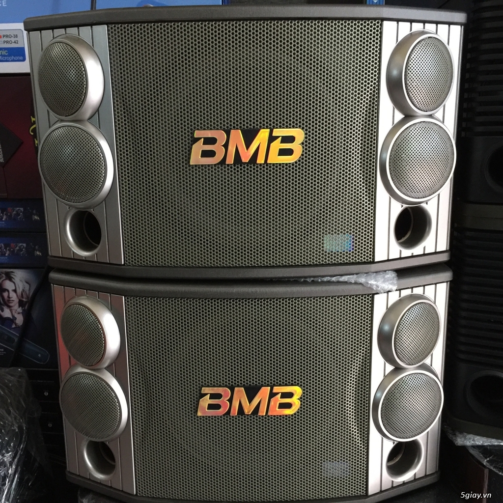 Loa BMB 850