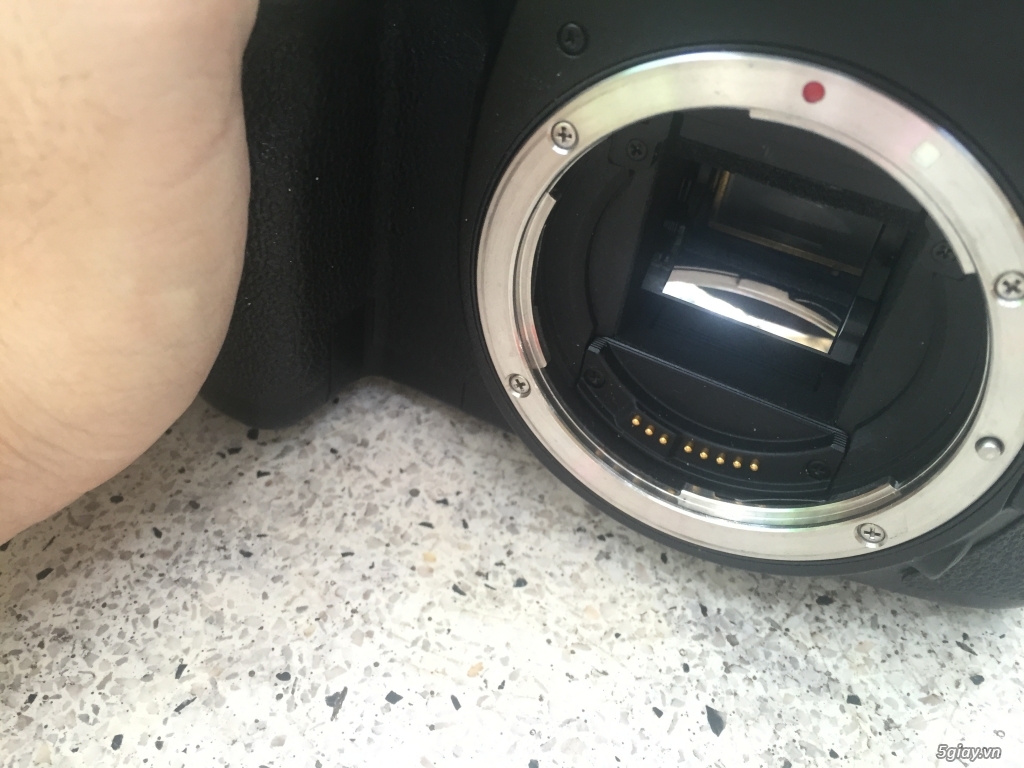 Canon 7D mới 98% - 1